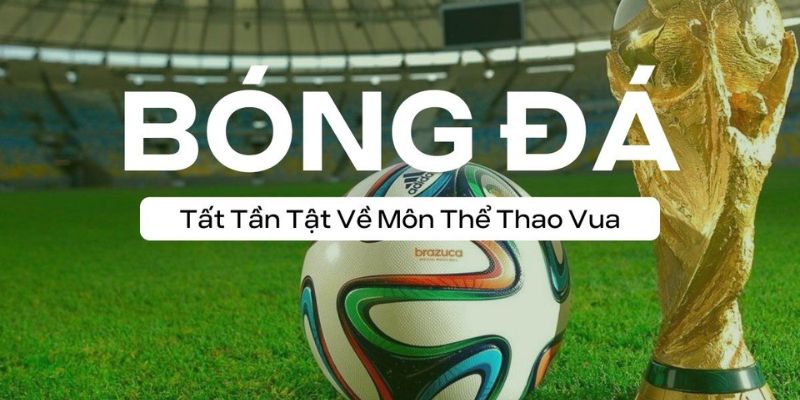 Giới thiệu chuẩn quốc tế