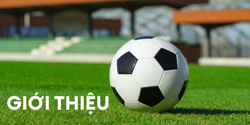 Giới thiệu thể thao 1gom